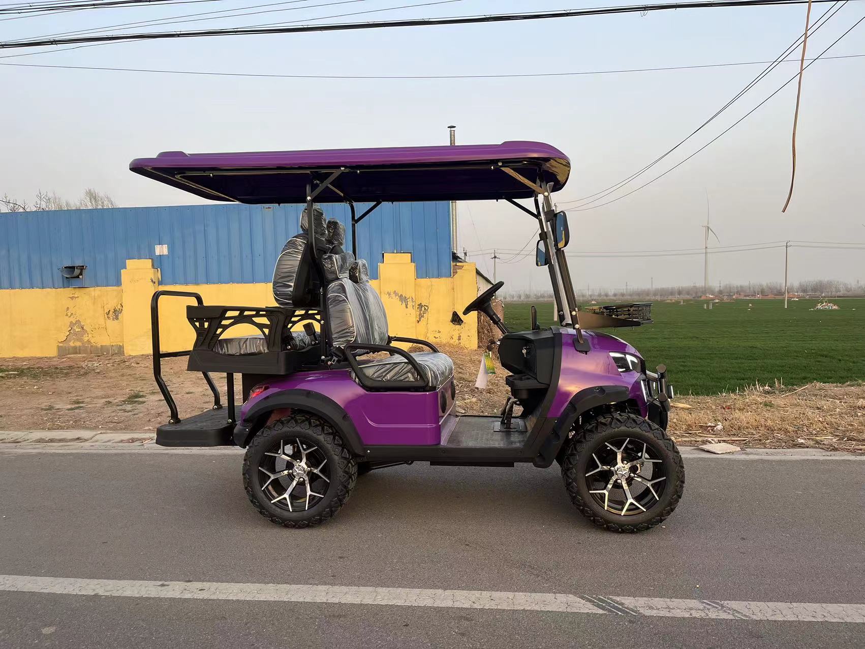 High Quality High Speed Purple Electric Golf Carts Sightseeing Car With Powerful Motor For Resort Hotel Scenic Area