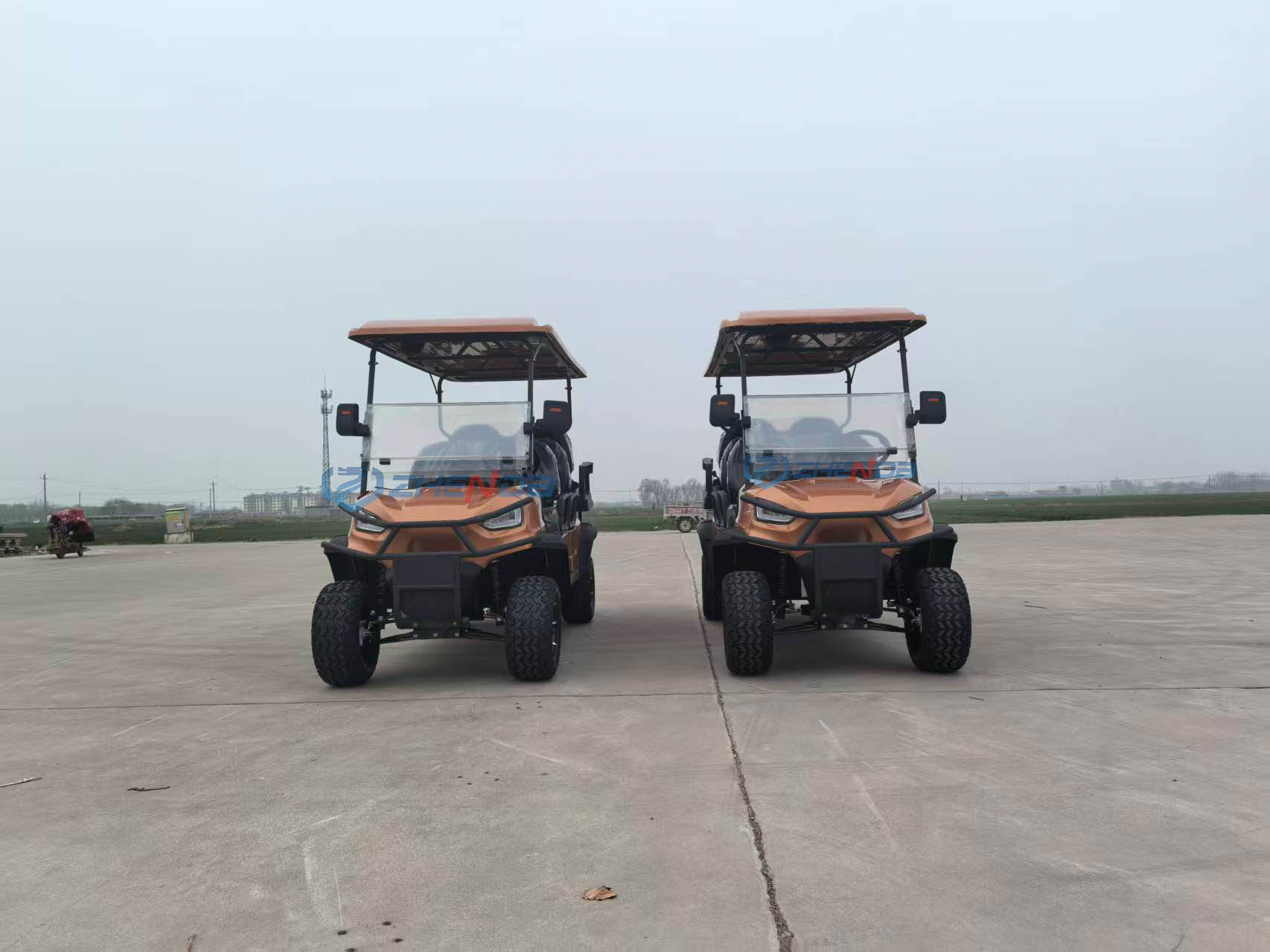 Golf Cart Side View