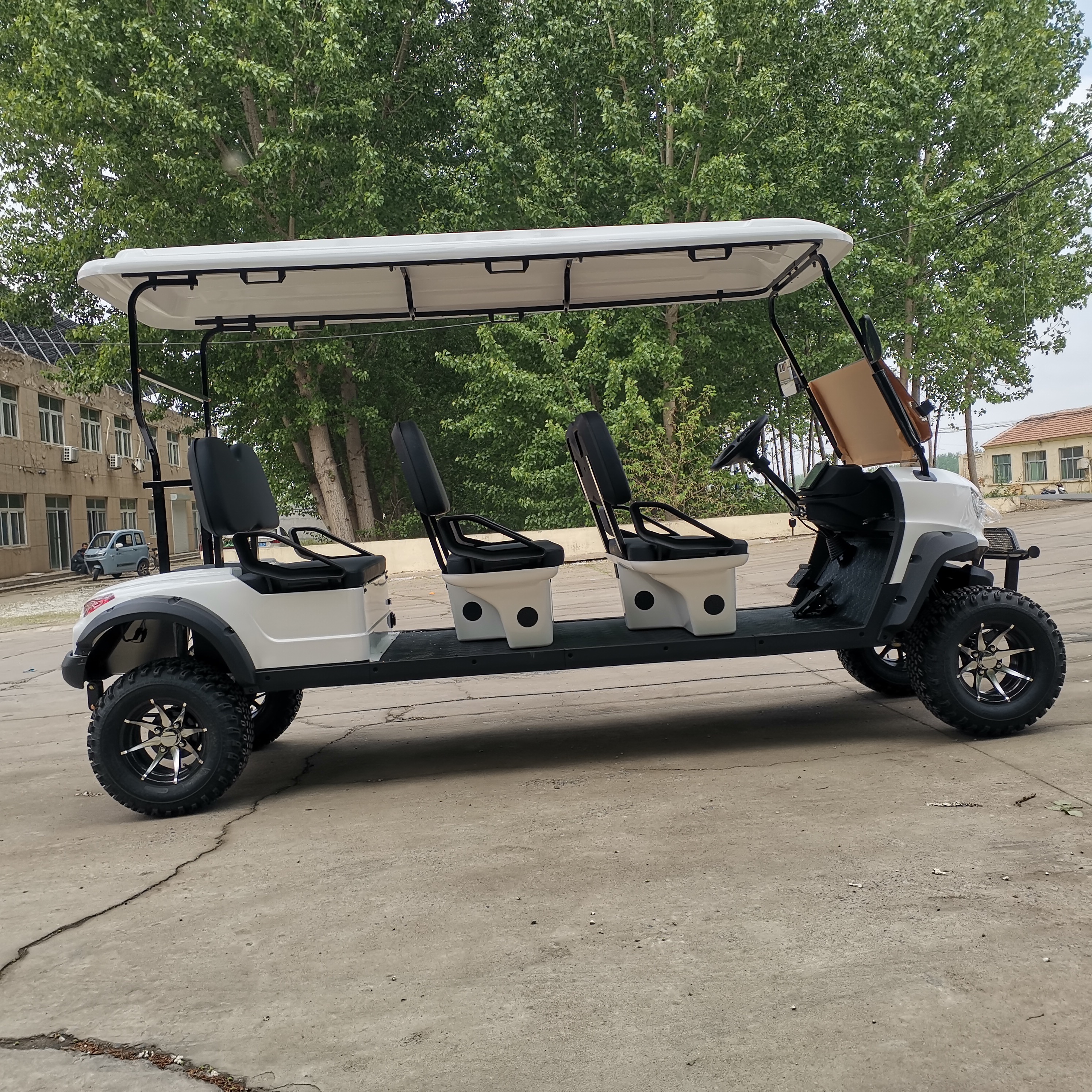 Competitive Price 6 Seater Golf Cart with 48V Utility Golf Cart for Tours