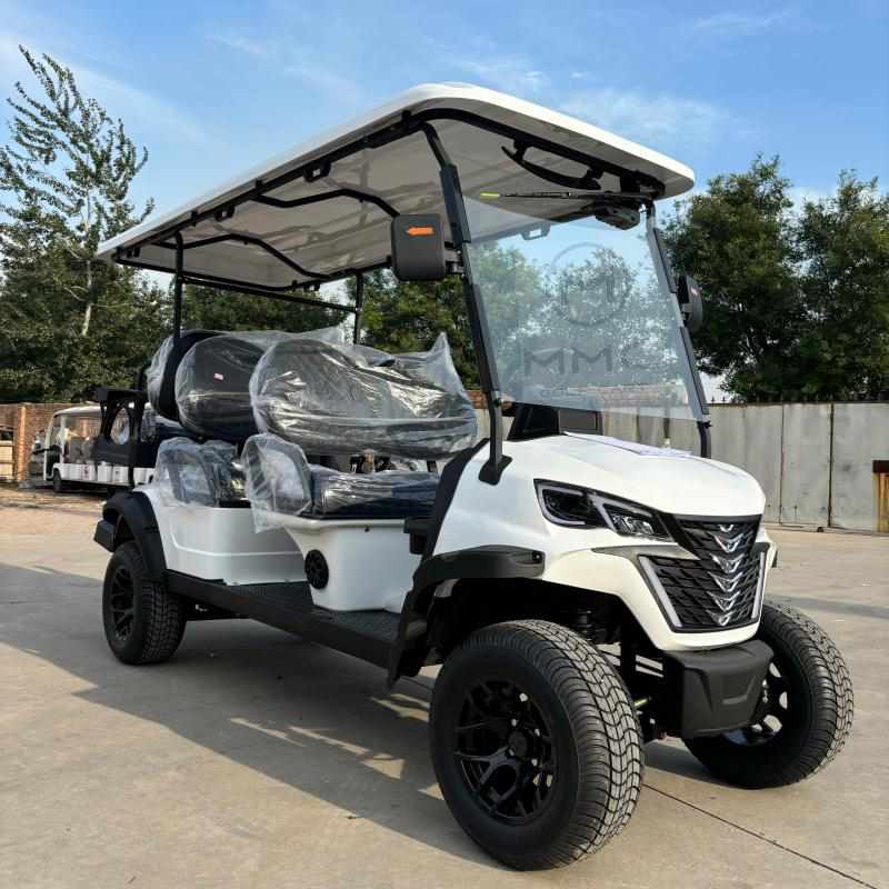 Street Legal 6 Seater Gasoline Golf Cart CE Approved Adult ATV/UTV 4x4 with Lithium Battery Black