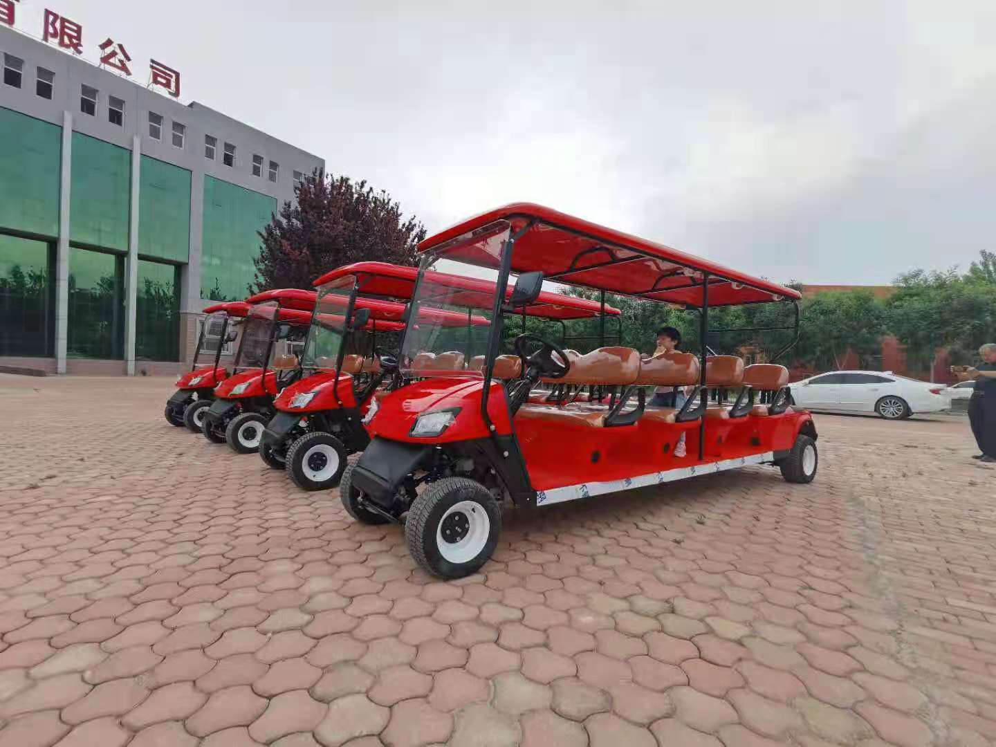 2021 New Design CE Approved Multifunctional 8 Persons Seats Electric Sightseeing Golf Cart for Resort Golf Club Use