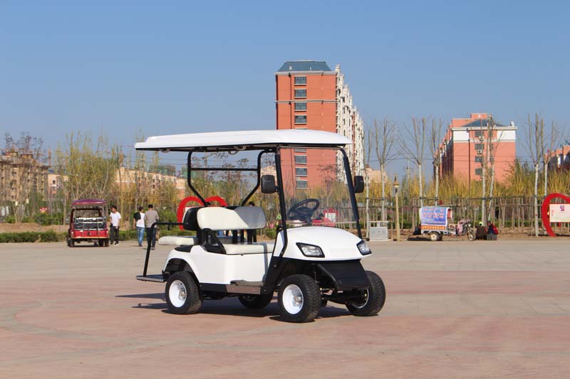 Hunting Golf Carts Gas Powered 1 Seat Golf Cart Street Legal 6 Searer Gas Golf Cart for Road