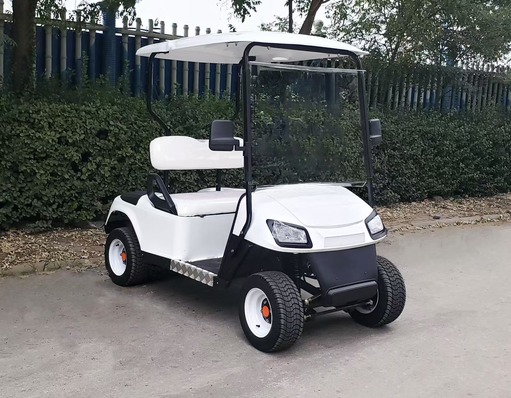 CE DOT Certified Mini Golf Cart 2-Seat - Luxurious Seats, 60V 100AH, 100km Long Range For Resort