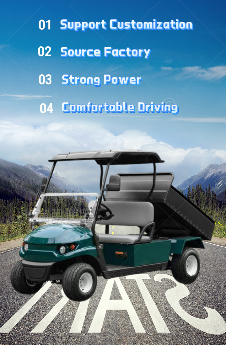 Electric UTV Product Description