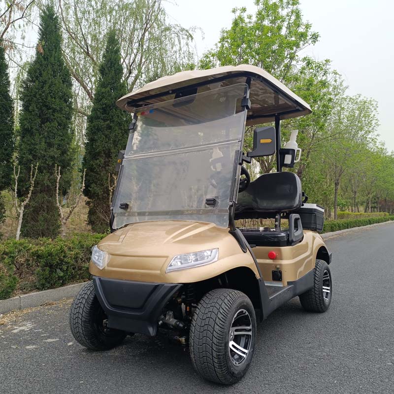 QIFAN Mini Luxury 4 Seats 6 Seats 8 Seats Electric Classic Golf Cart for Wedding Resort Hotel