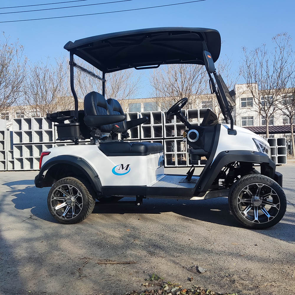 Free Shipping Golf Cart Lifted 4+2 Passenger Golf Cart With Seats Outdoor 4+2 Seat For Sale