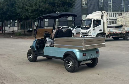 Sharefer 2 Passengers Buggy Utility Vehicle for Sale With Price Cargo Box Trolley Electric Golf Carts