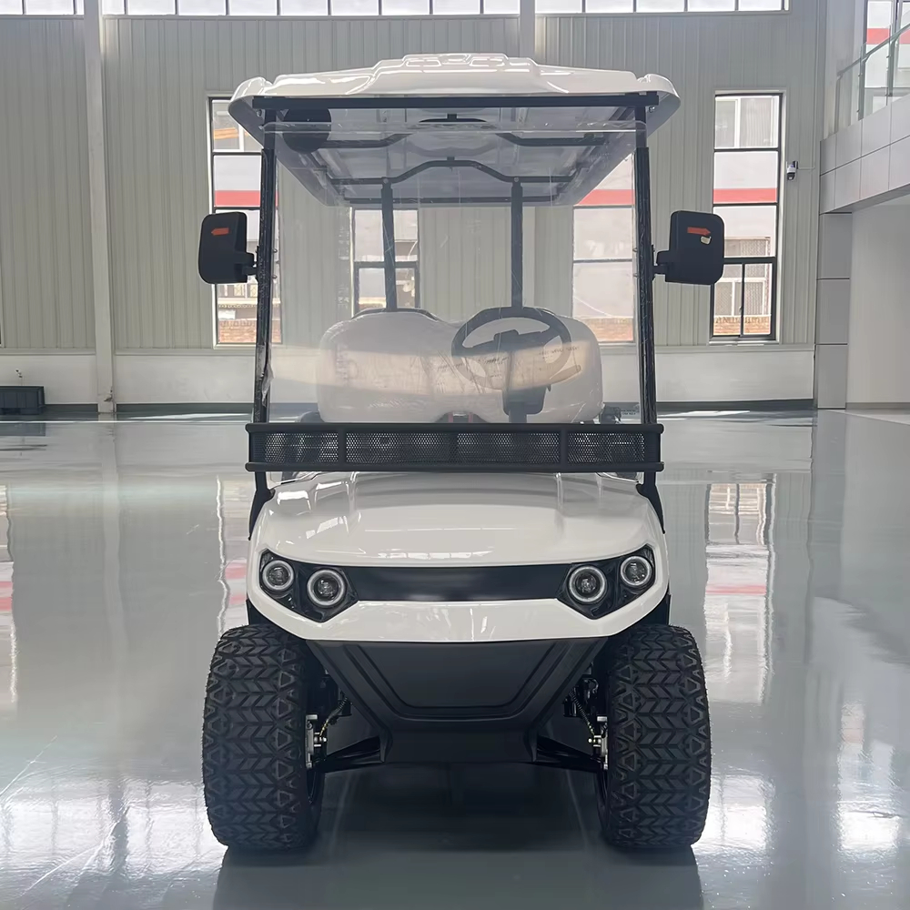 2025 Newest Model Smart Golf Cart with GPS Display Screen &amp; Remote Control