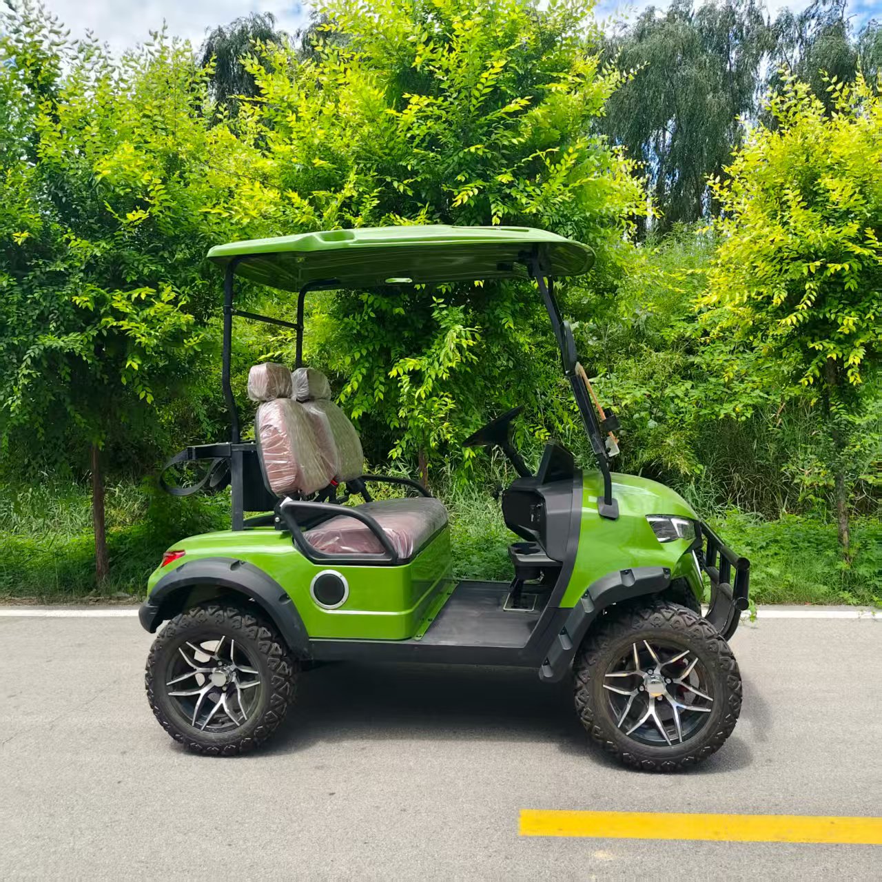 Wholesale Price EPA Certified Gas or Electric Powered Golf Carts/off Road Golf Car with Gasoline Engine with 4 or 6 Seaters