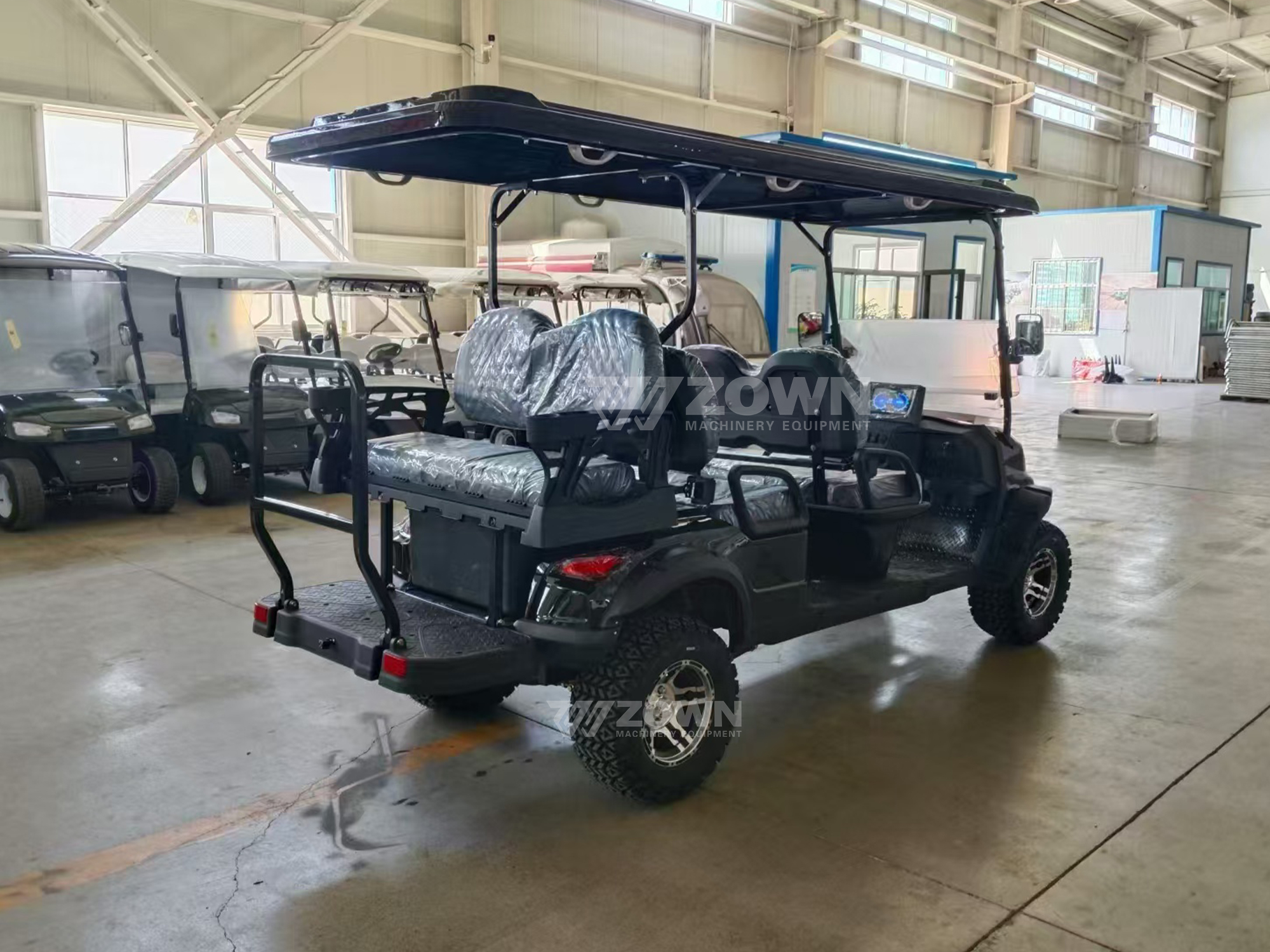 Electric Golf Cart