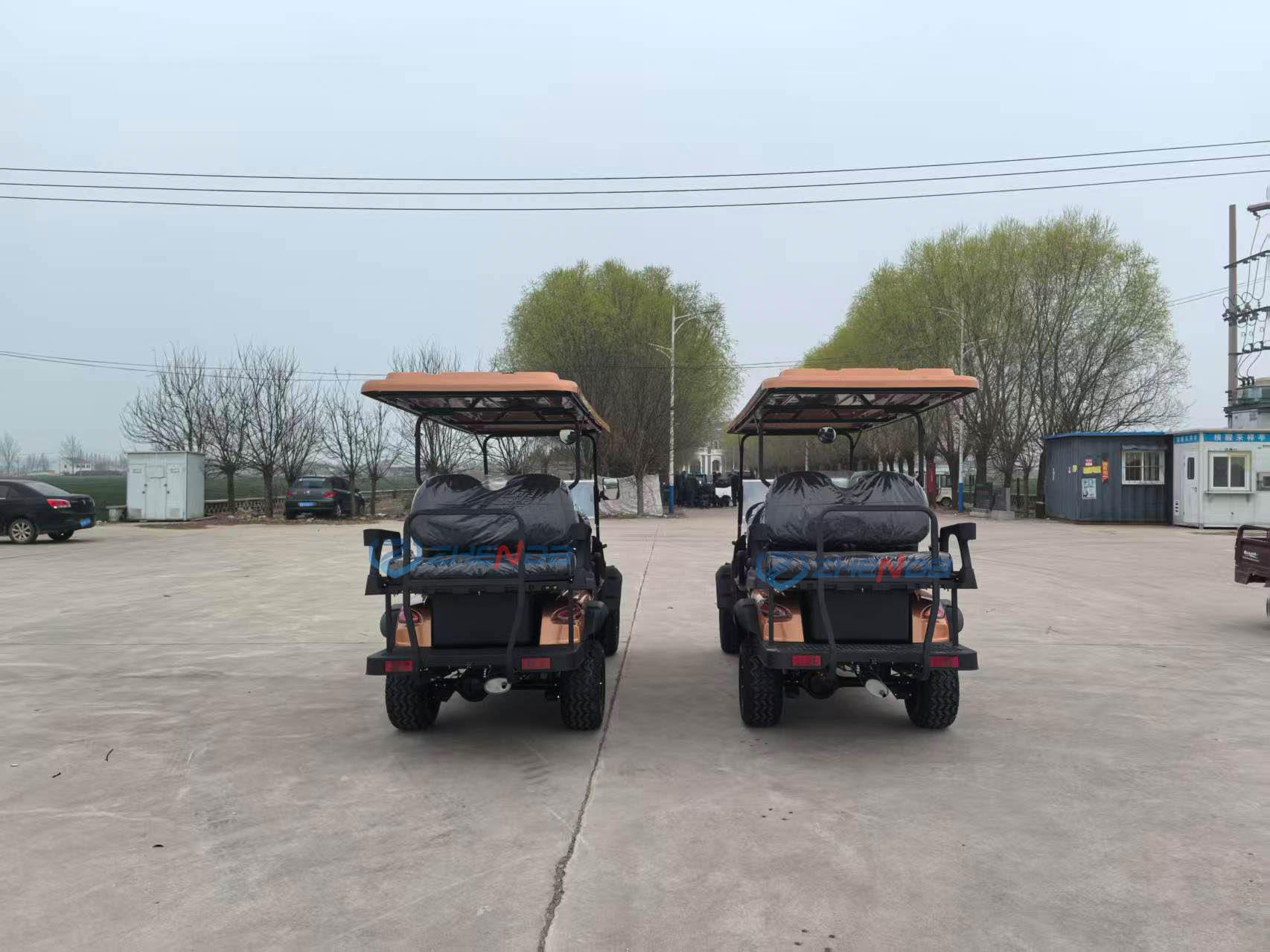 Golf Cart Front View