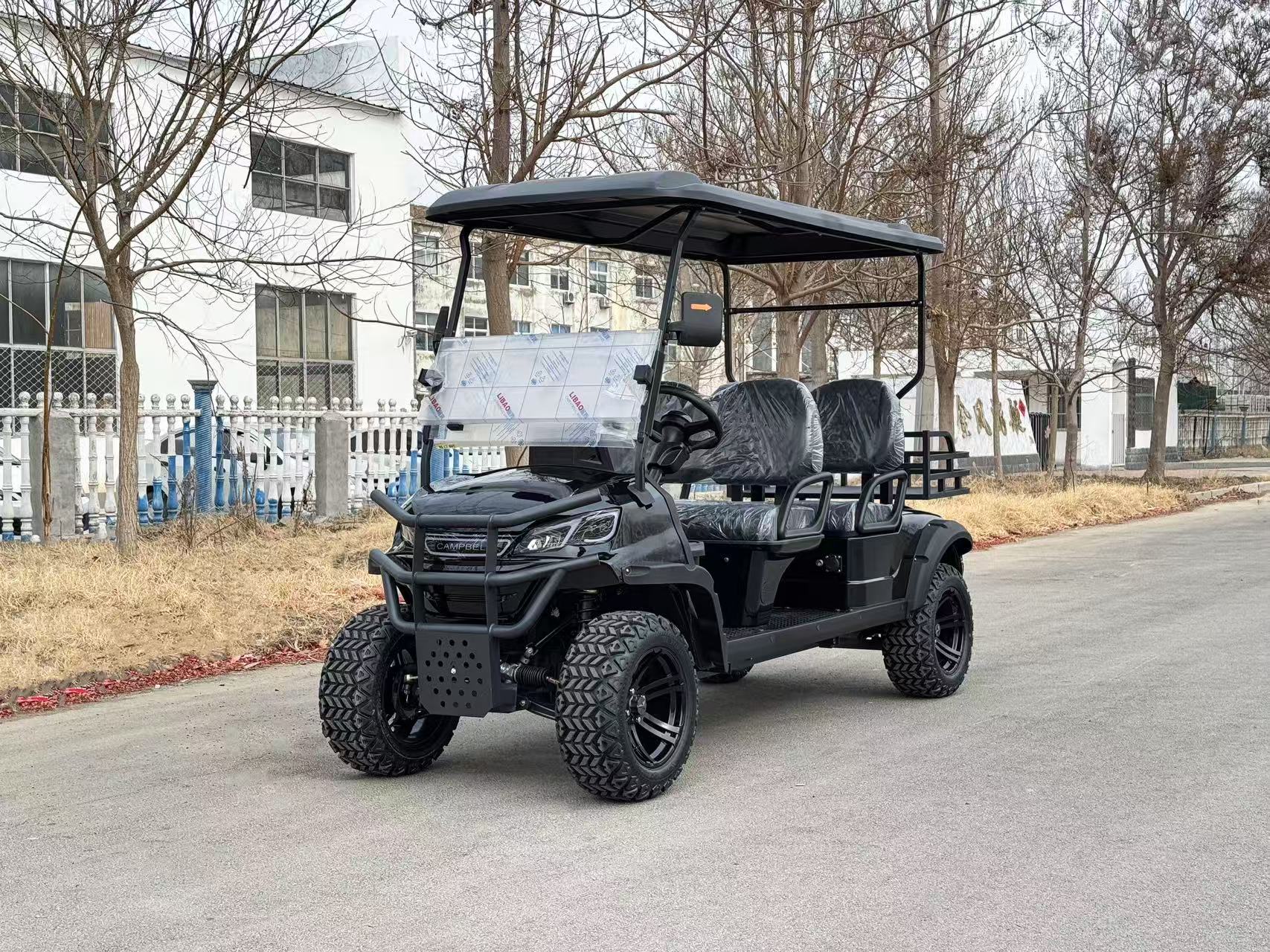 Custom Luxury Factory Wholesale 2 Seater 4-8 Seater Golf Cart Electric Golf Cart CE EPA