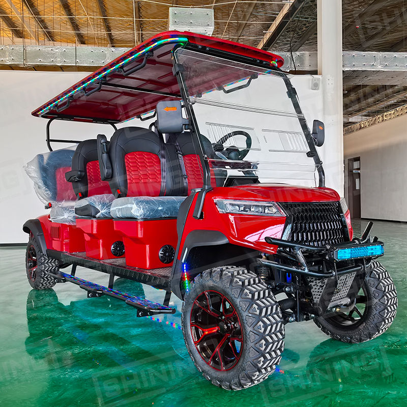 Shininglsv 400cc 6 Seater Gasoline Golf Cart New Style Gas Golf Carts