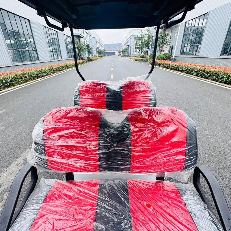 Daod Luxury 4 Seater Golf Cart with Premium Leather Seats and LED Display