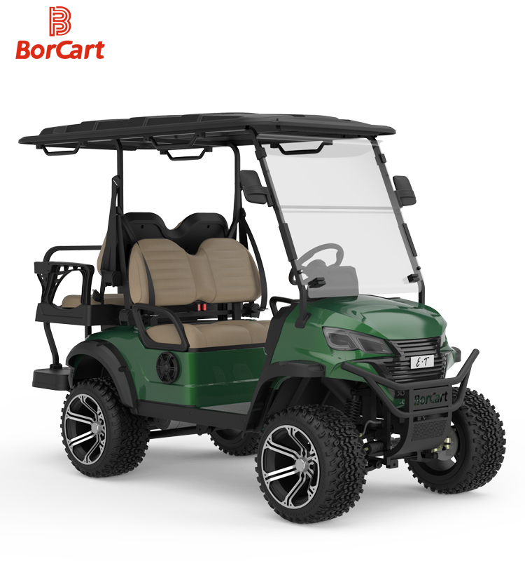 Golf Cart View 9