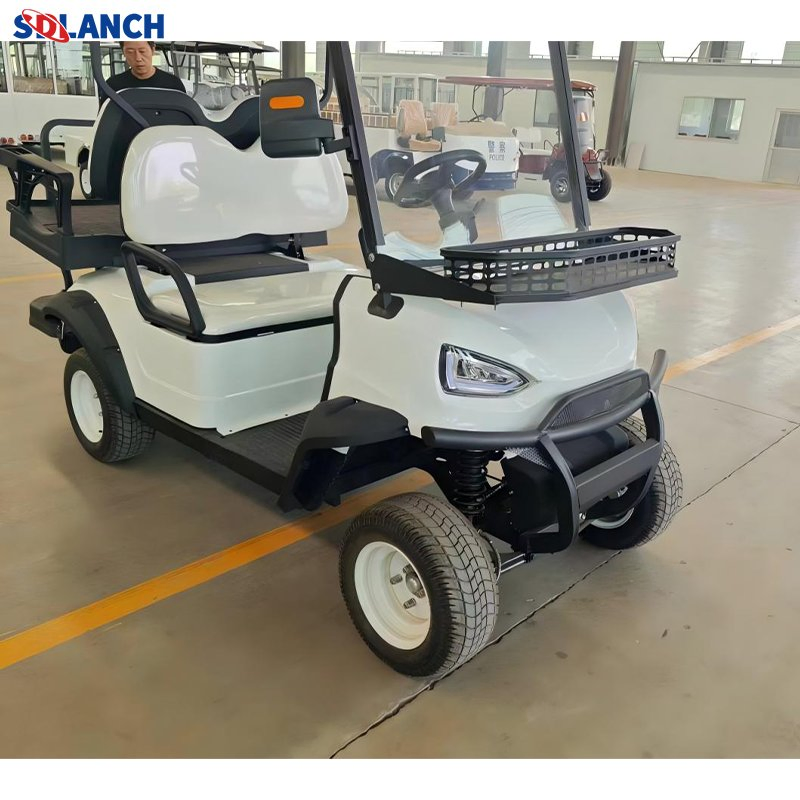 Electric Buggy Car Hunting Club Utility Trolley Course 4X4 off Road Automatic Parking 2+2 Seater Solar Panels off Road Electric Golf Cart