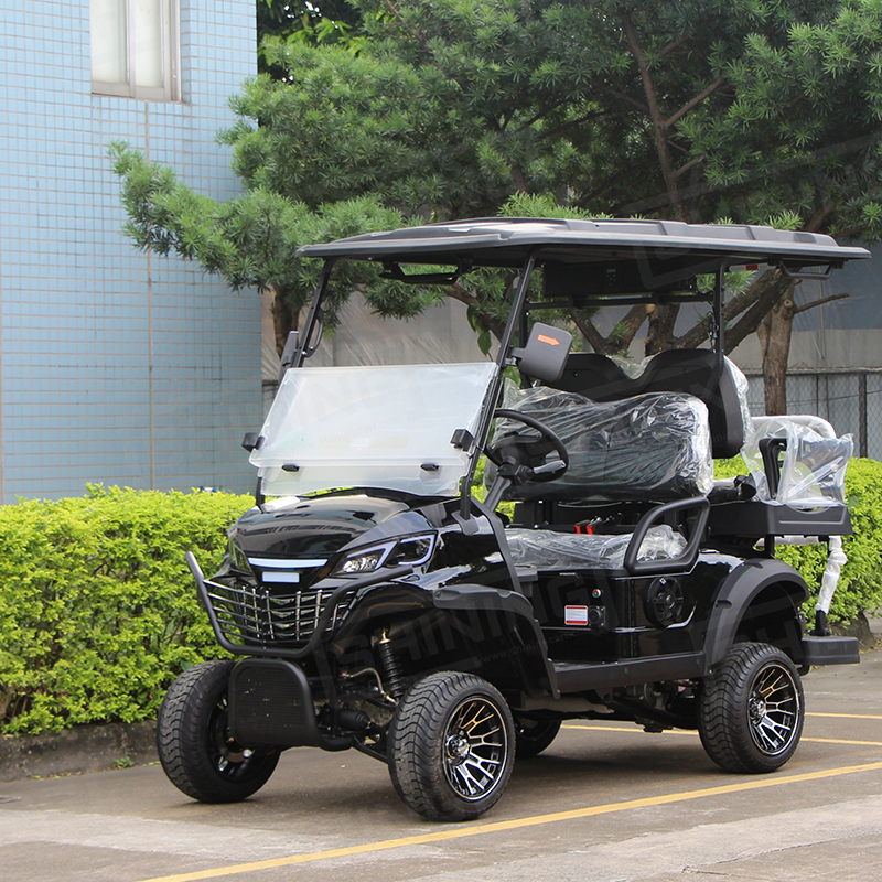 Shininglsv 48V Electric Fast Golf Cart Car Style Electric Lithium Golf Trolley