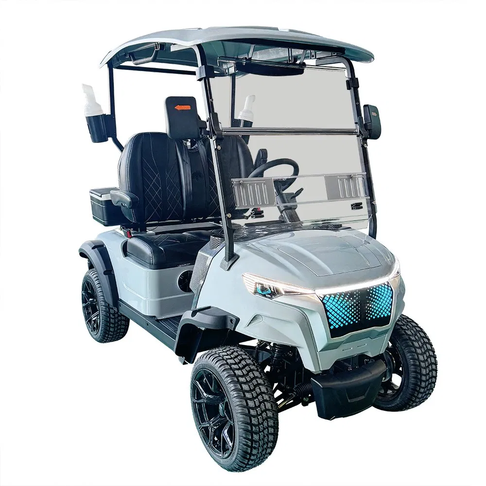Electric Lithium Battery Two-Seater Golf Cart for Golf Courses
