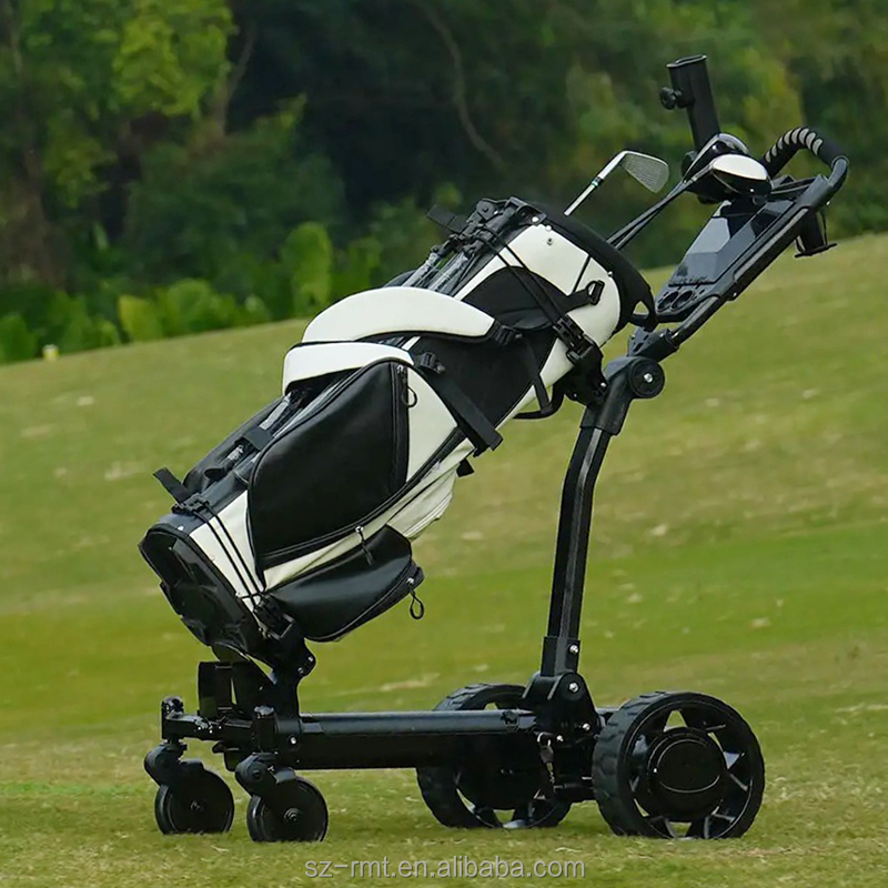 Electric Golf Cart Details