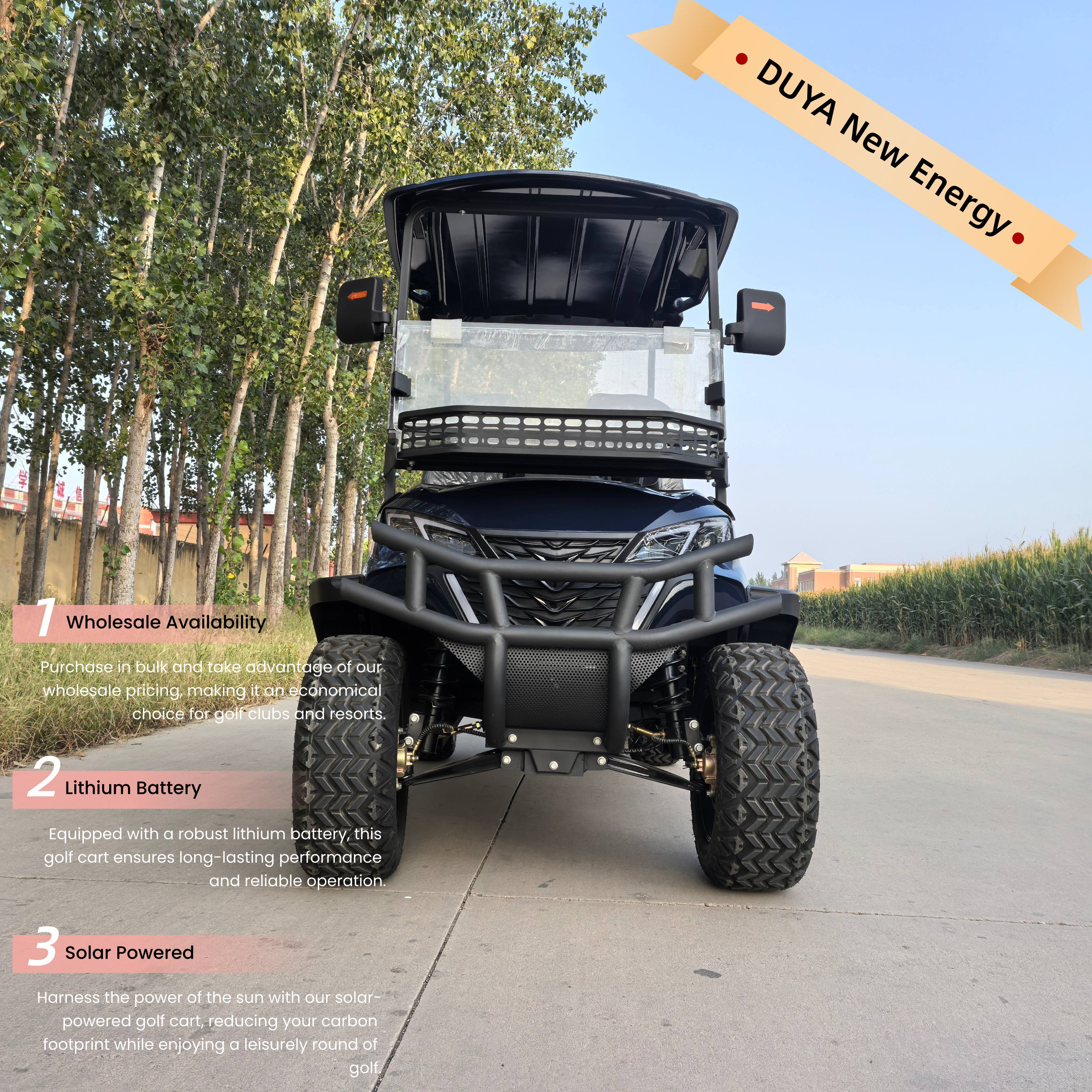 72V/48V Electric Lithium Battery Golf Cart Independent Suspension 2 Seats 30-50Km/h Speed 90km Range Imbor 3528 Controller 510kg