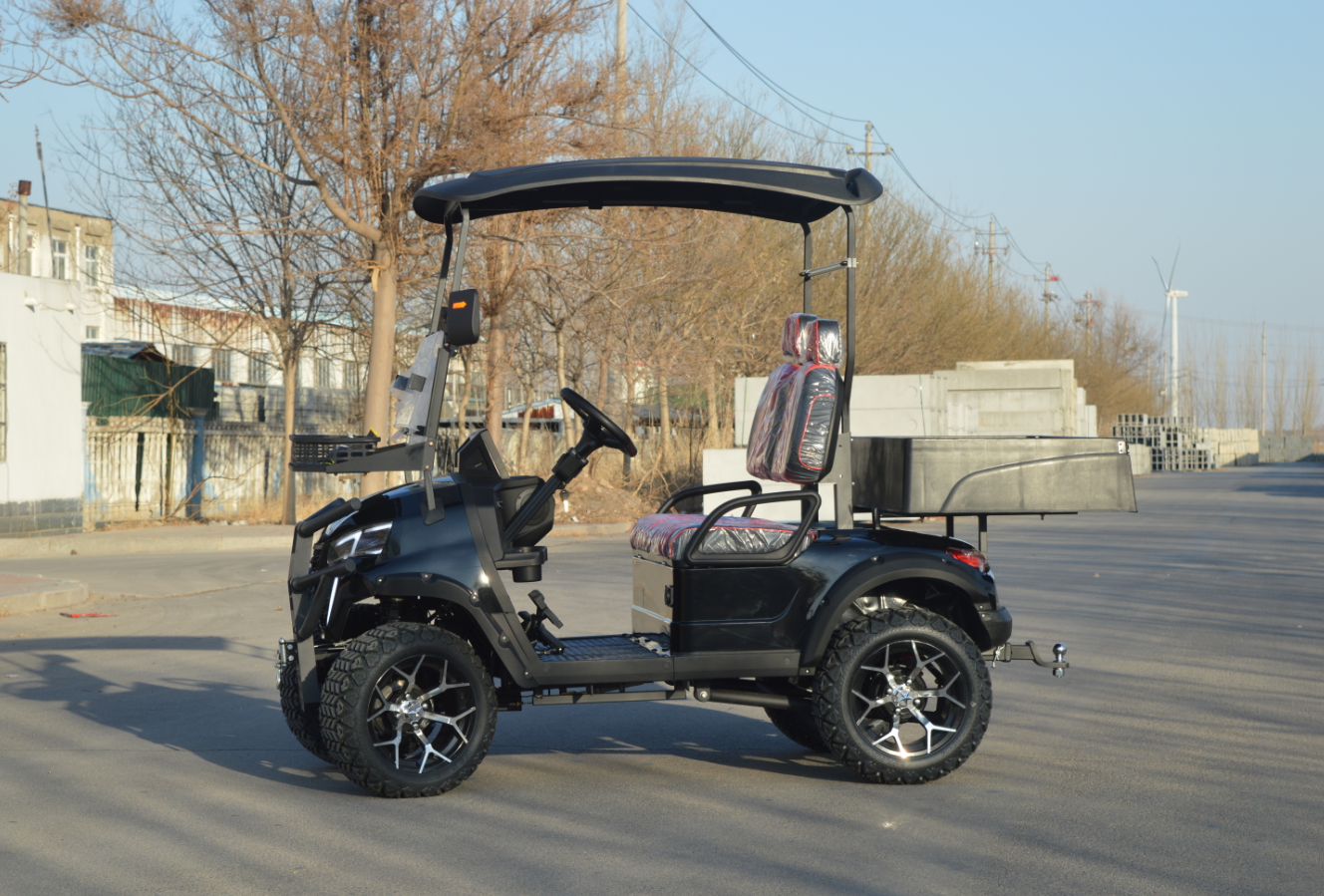 New Design 2 Seater Mini Black Electric Club Car Golf Cart with Off-road Capability for Private Golf Club Personal Use