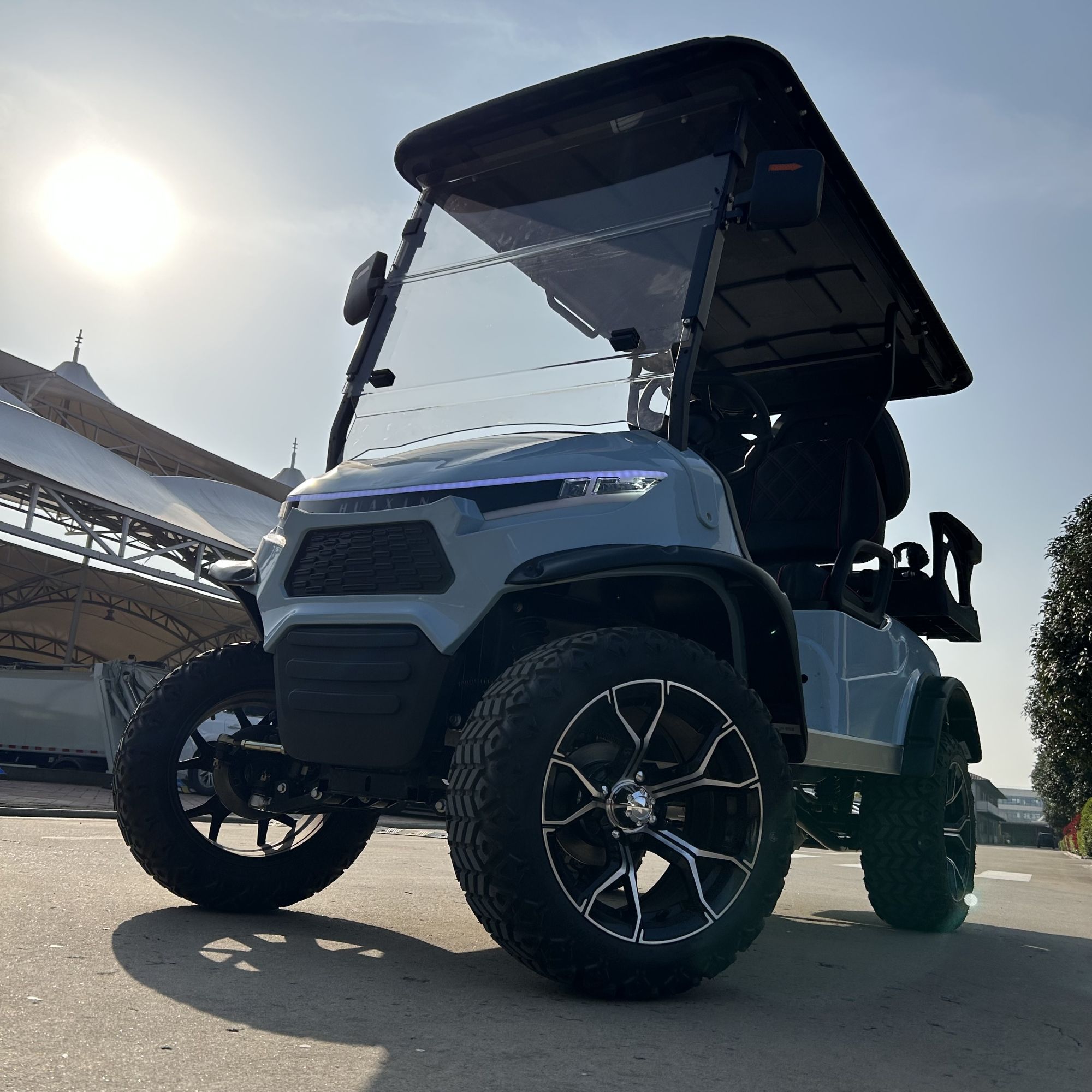 Electric Golf Cart