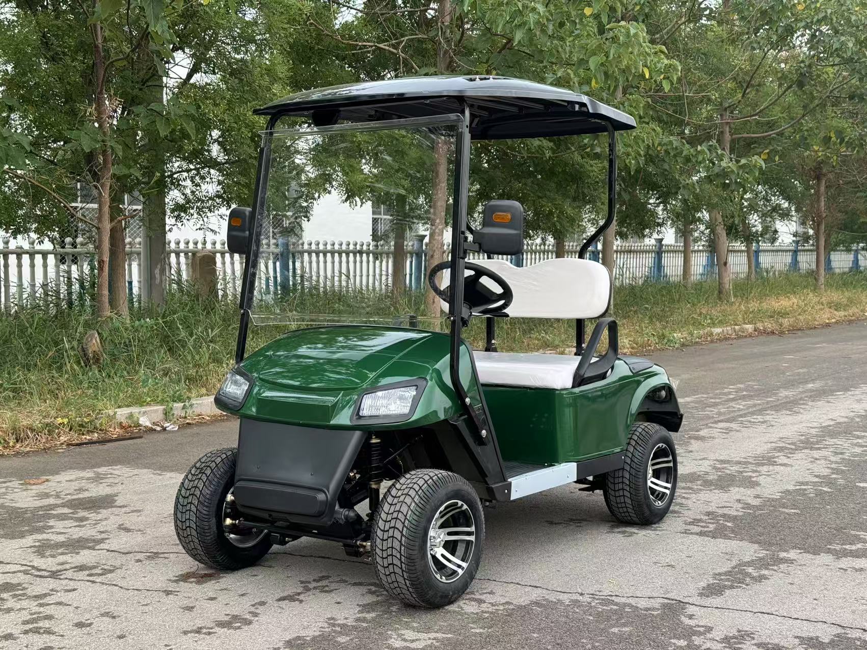 CE DOT Certified Mini Golf Cart 2-Seat - Luxurious Seats, 60V 100AH, 100km Long Range For Resort