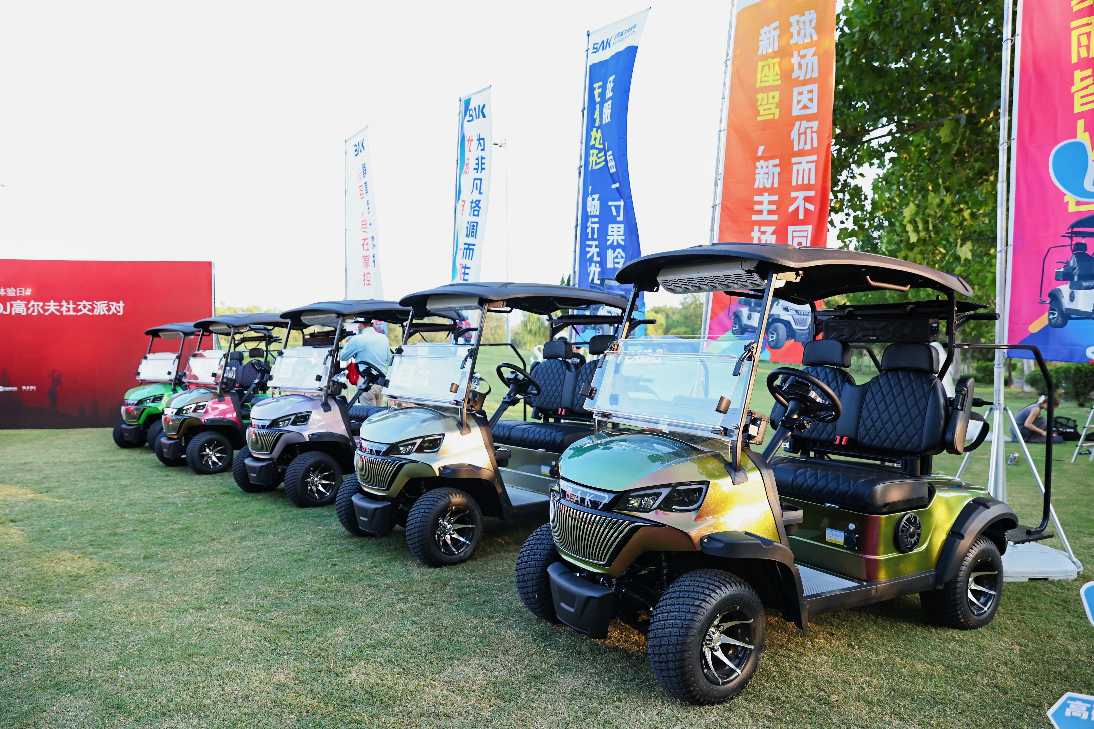 Golf Cart Main