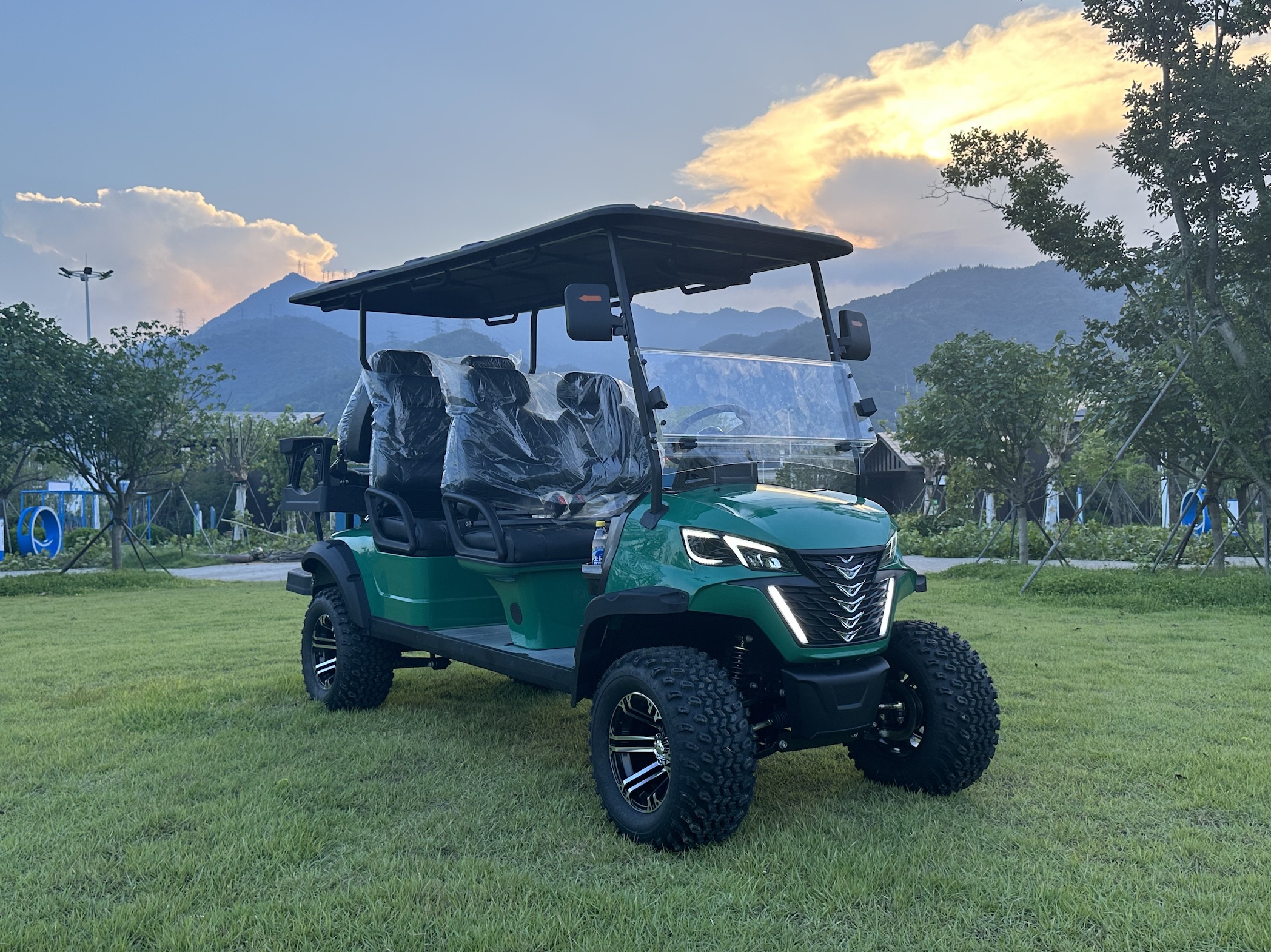 Electric Golf Cart View 3