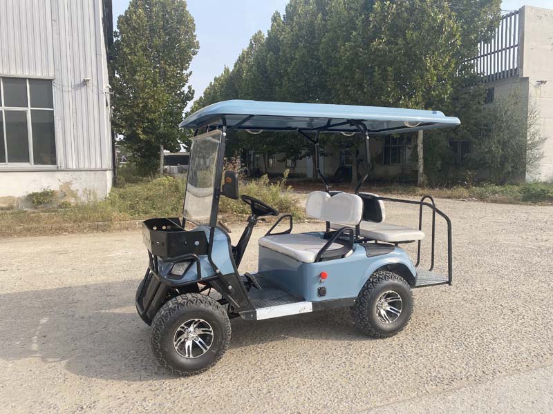 Hunting Golf Carts Gas Powered 1 Seat Golf Cart Street Legal 6 Searer Gas Golf Cart for Road