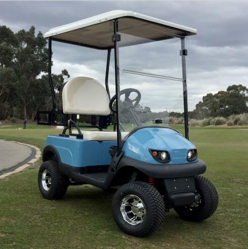 48V 2000W Personal Single Seat Open Space Durable Electric Golf Cart Buggy SS-Model