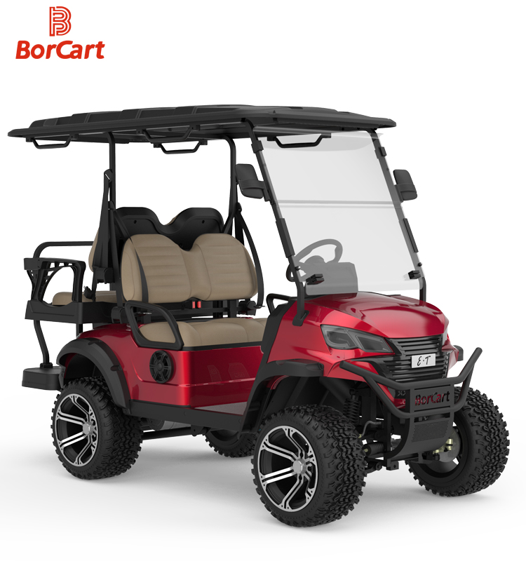 Golf Cart View 11