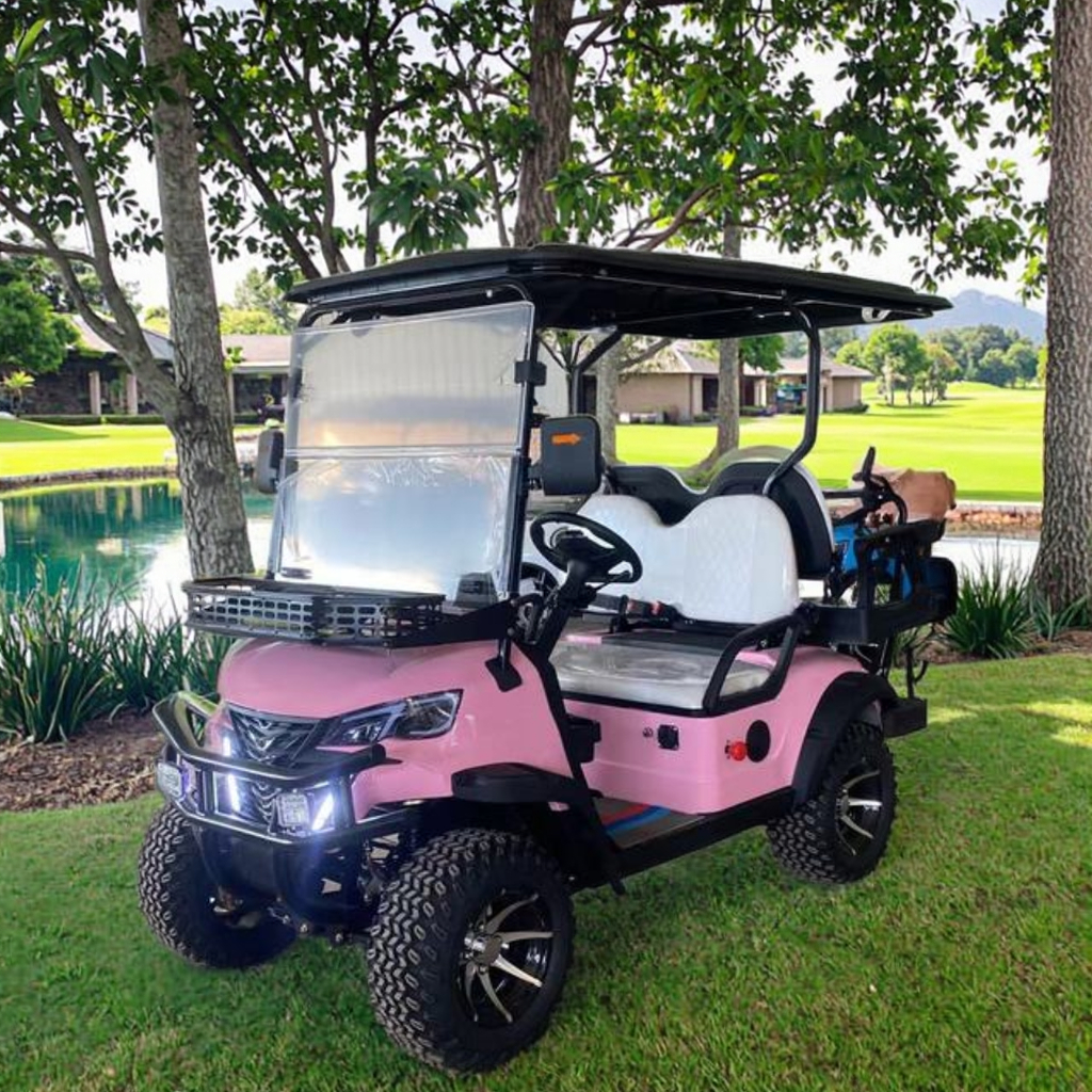 Professional Custom 2-8 Passenger Electric Golf Cart Fleet Rapid Charging System Complete Maintenance Package Durable