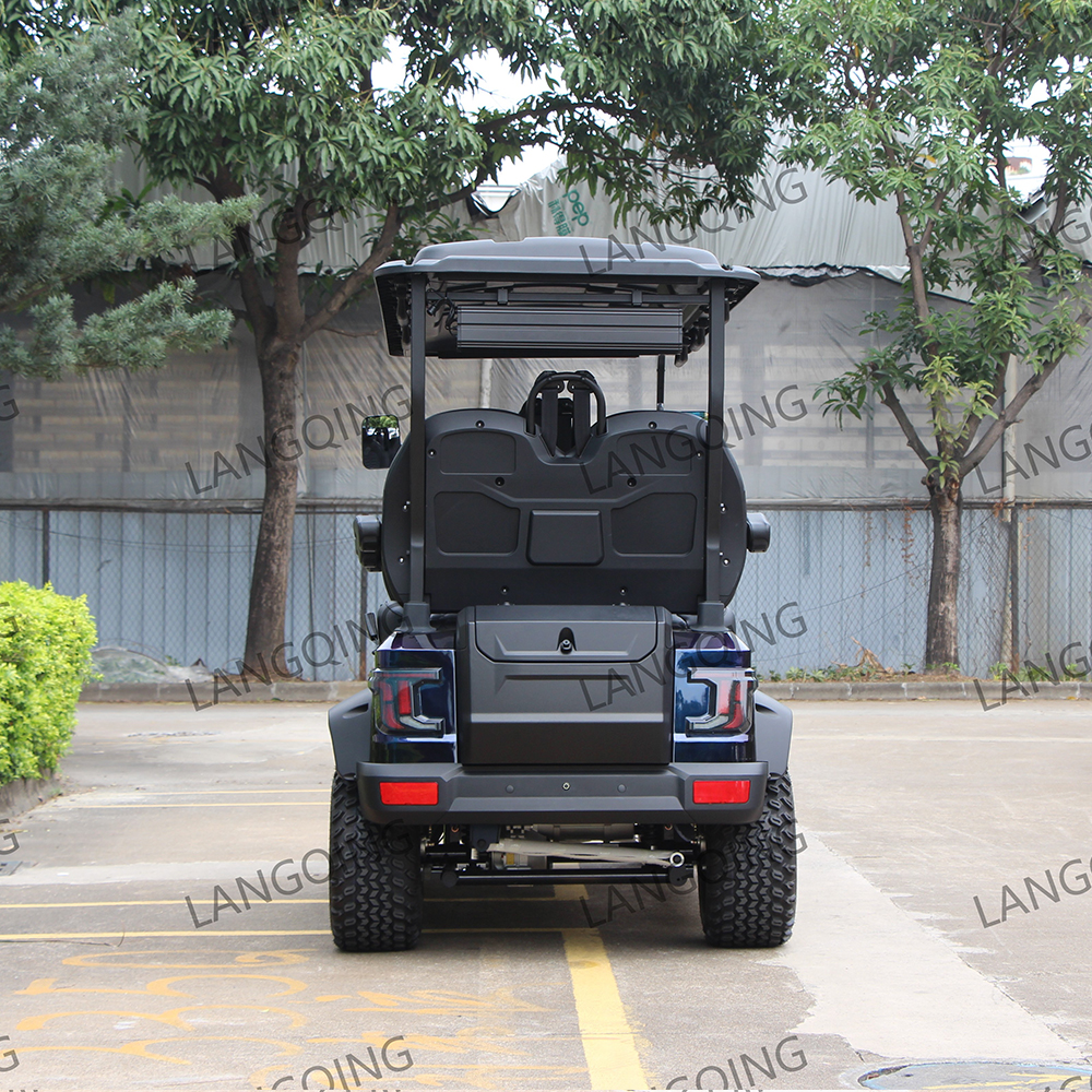 Golf Cart Detail 3