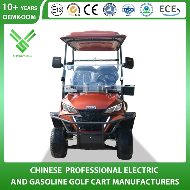 OEM Street Legal 4 Passenger Sightseeing Car Luxury Electric Tourist Golf Cart
