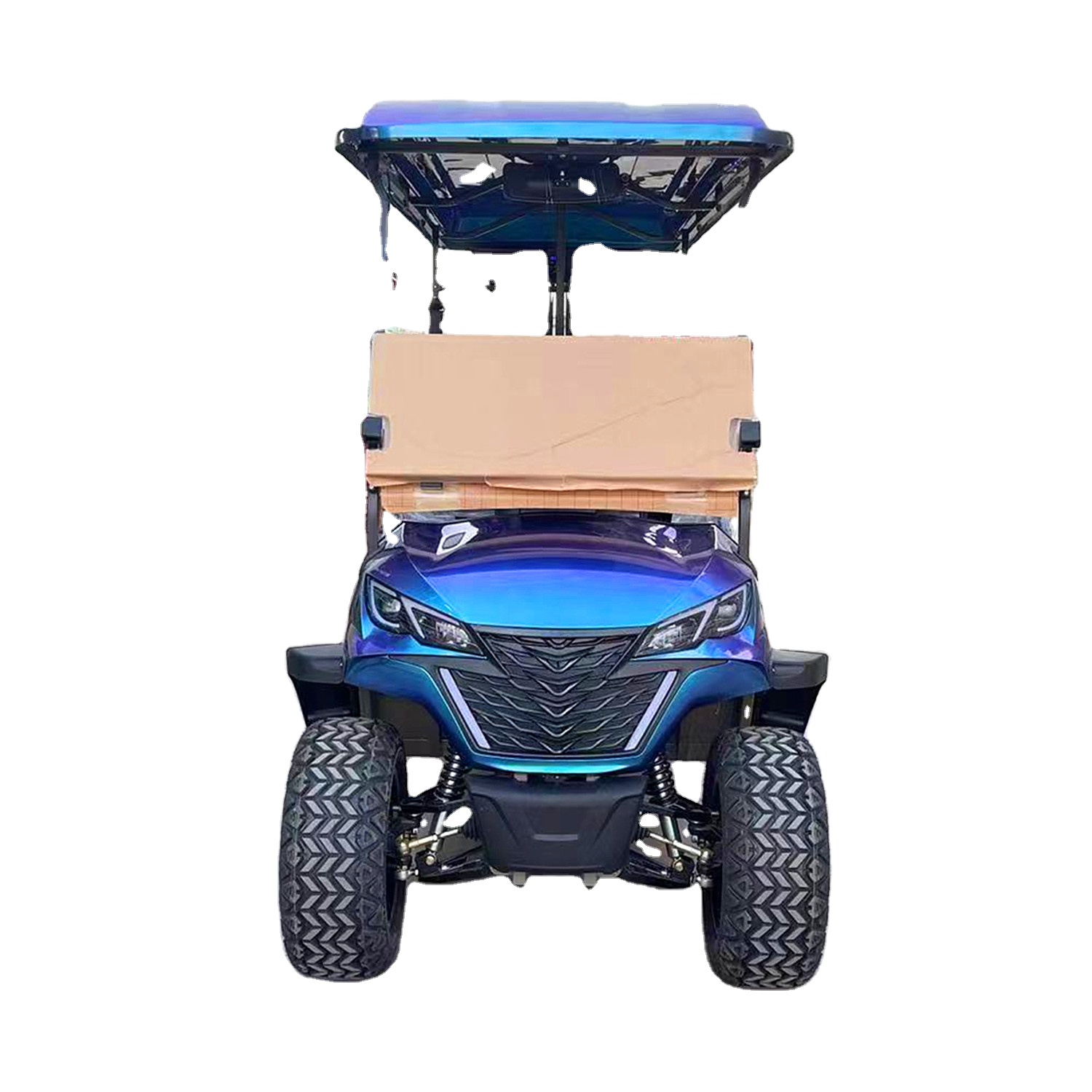 Electric Golf Cart View 2