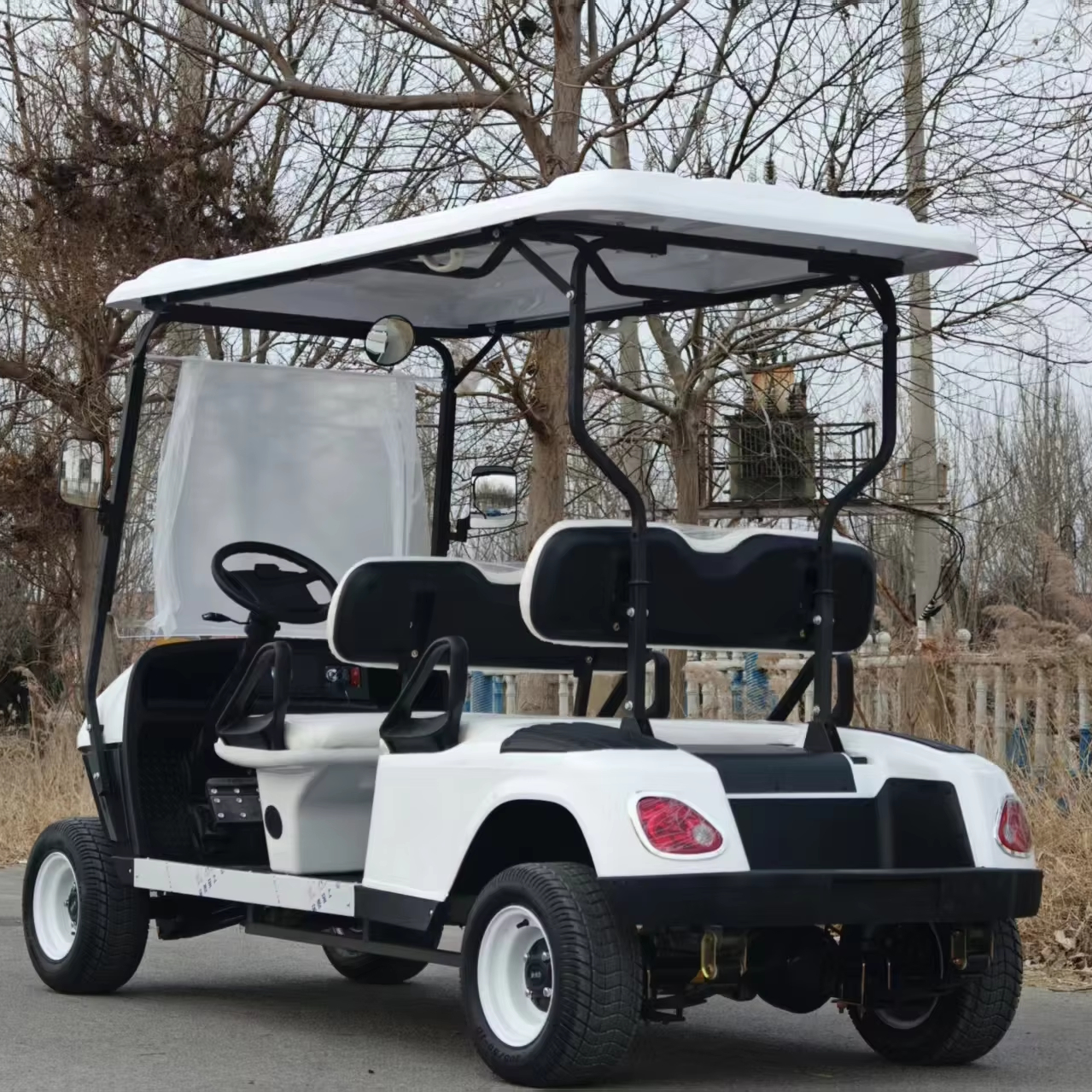 Customizable Golf Cart Premium Leather Seats Stylish Design Perfect for Personal Use One Year Warranty