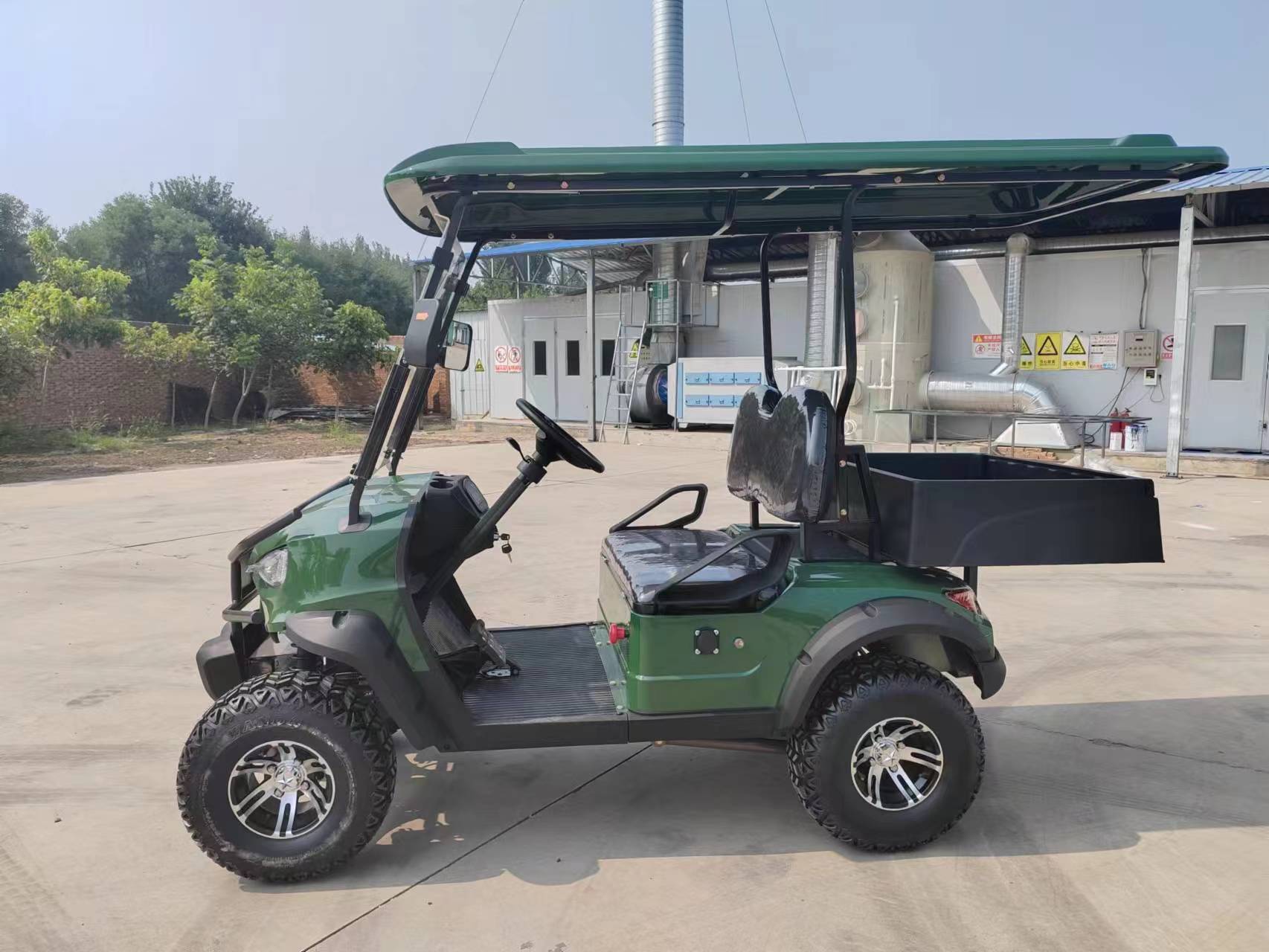 Golf Cart Details 4