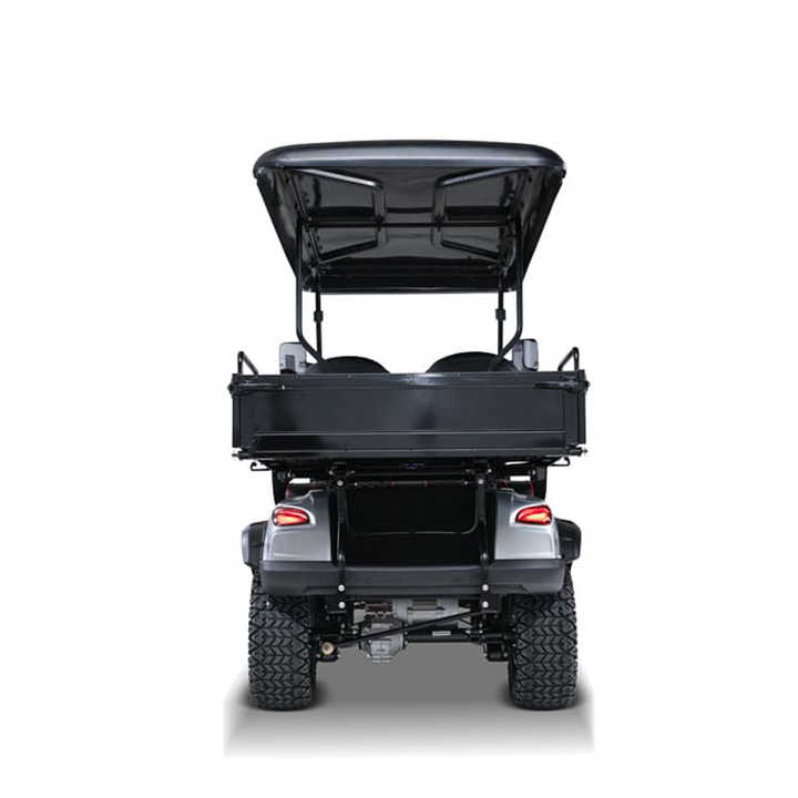 Customizable Golf Cart Detail