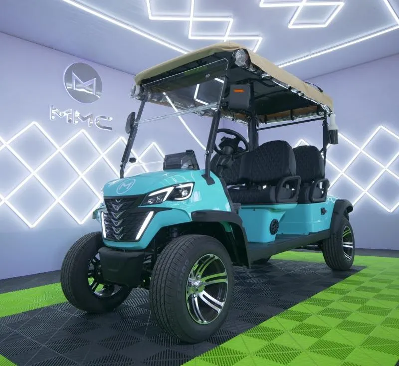 4 Wheel Electric Golf Cart Rear View