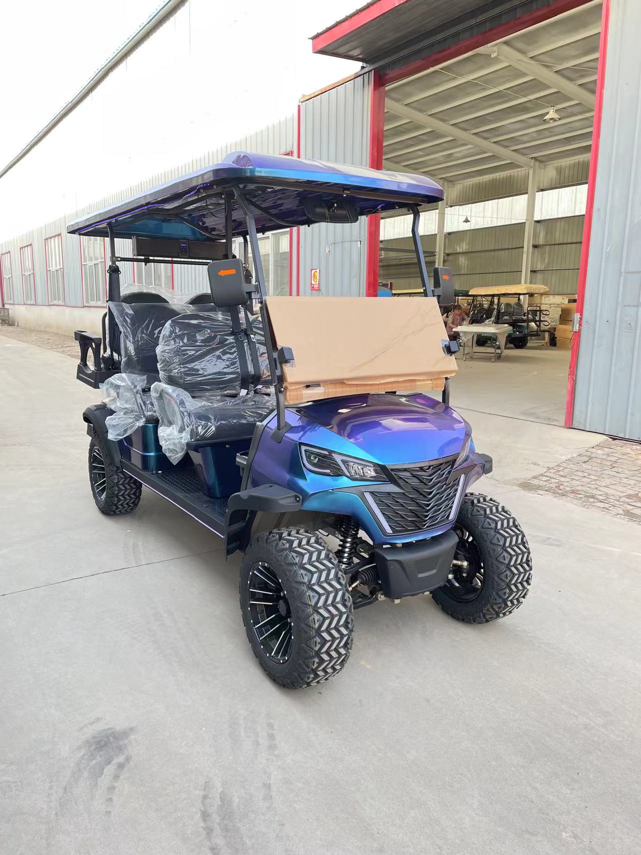 2025 Hot-selling off-road customizable golf cart