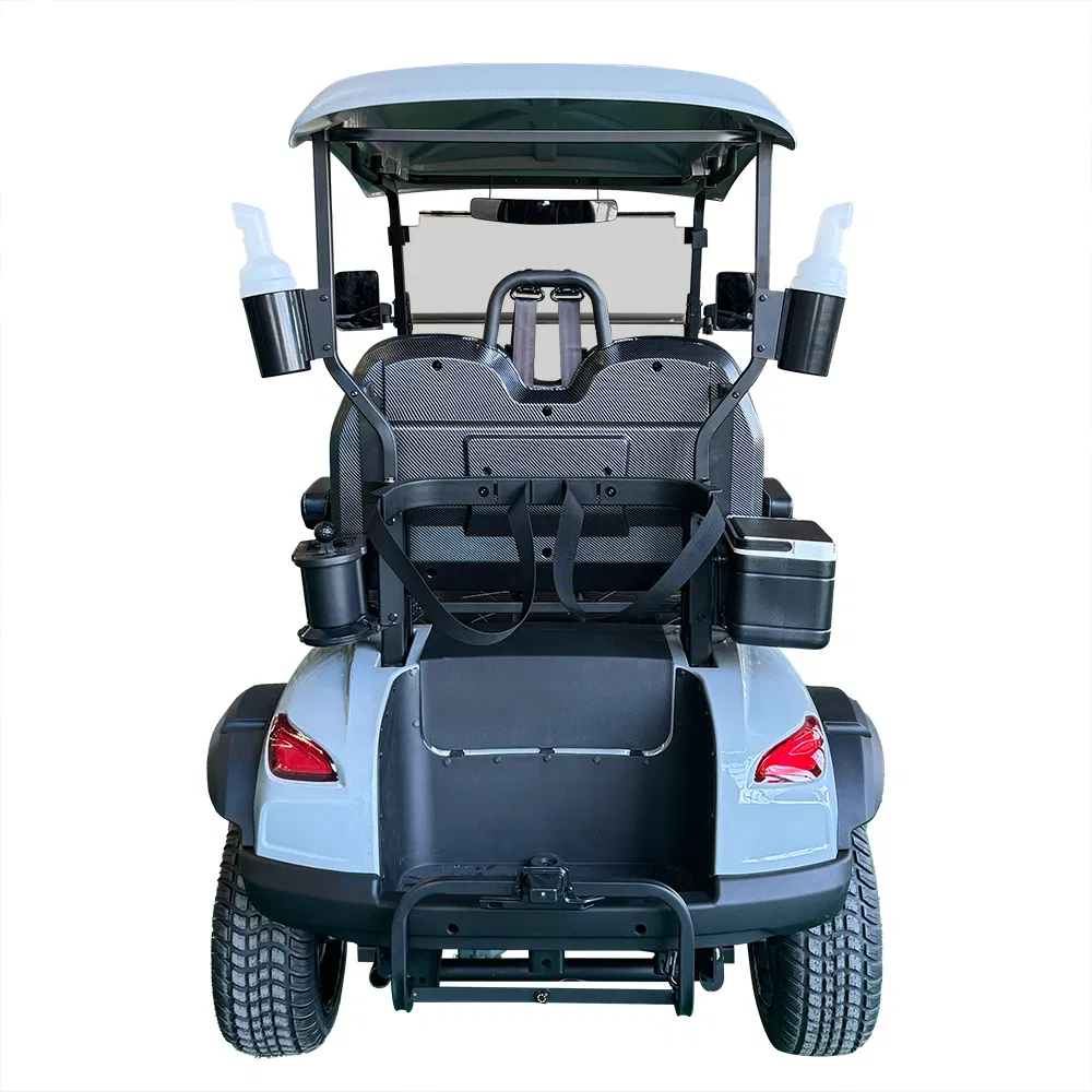Electric Lithium Battery Two-Seater Golf Cart for Golf Courses