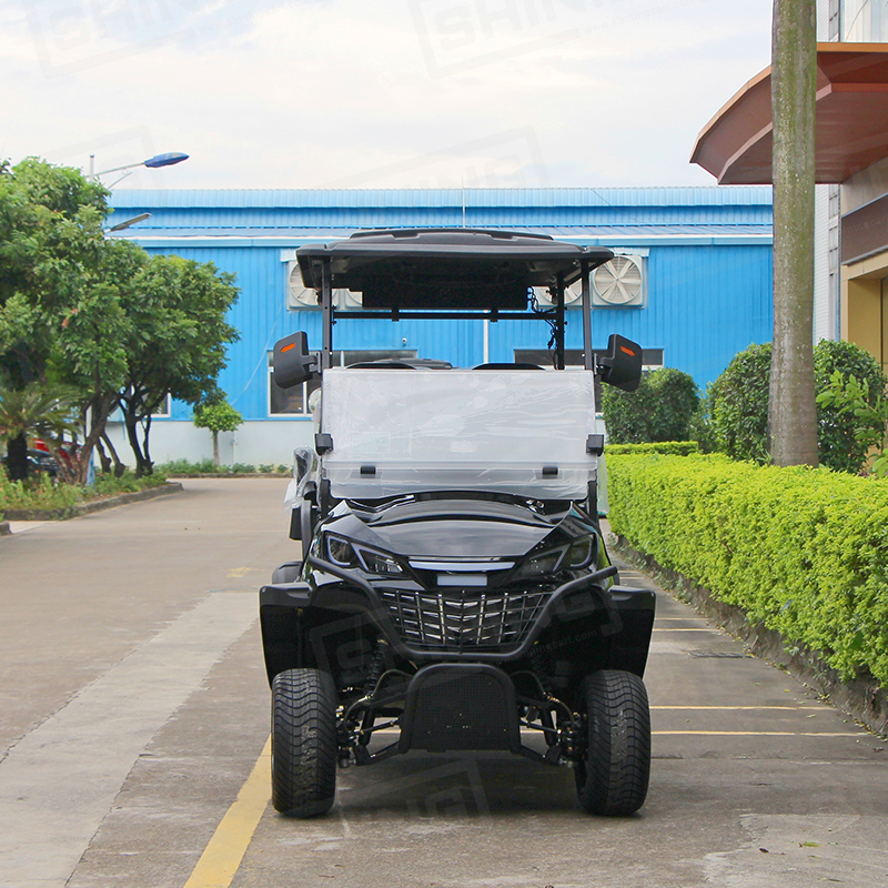 Shininglsv 48V Electric Fast Golf Cart Car Style Electric Lithium Golf Trolley