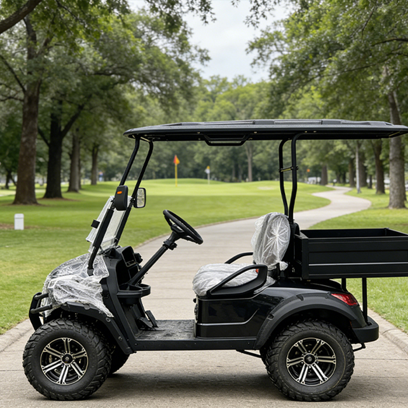 Heavy-Duty Gasoline 4 Stroke Golf Cart with Dual Hydraulic Damping 1-2 Seats 70-90km Range
