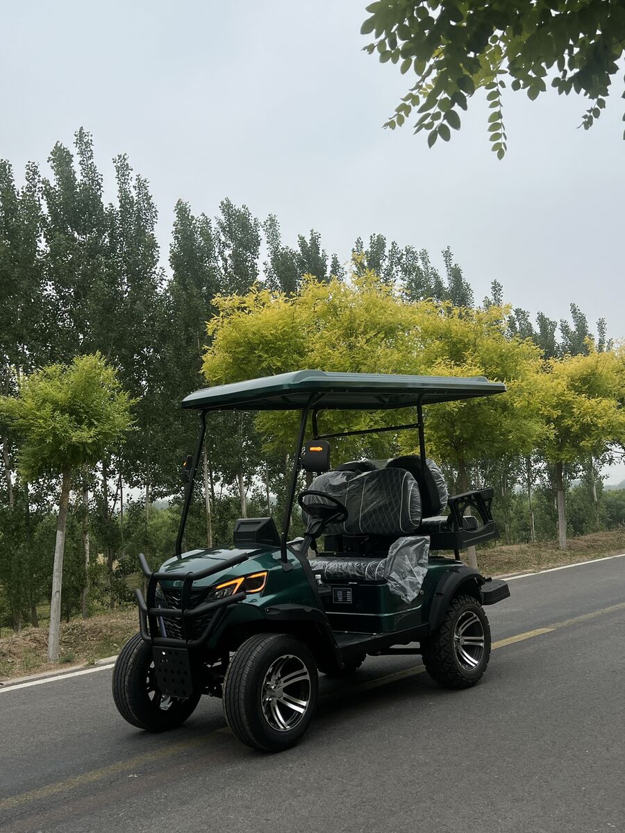 WELIFTRICH Cheap 72V Lithium Battery Fully Waterproof 4 Seater Folding Electric Golf Carts with 90km Range