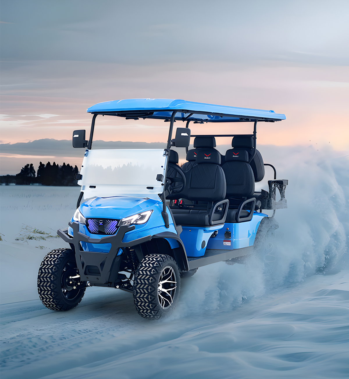Electric Golf Buggy