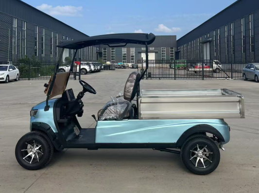 Sharefer 2 Passengers Buggy Utility Vehicle for Sale With Price Cargo Box Trolley Electric Golf Carts