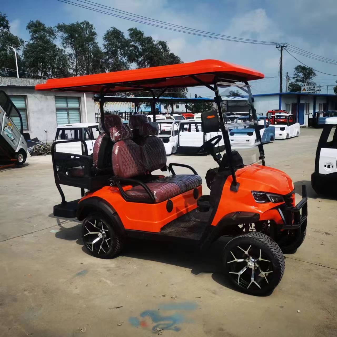 CE Approved Electric Golf Cart 2 Seater for Personal Use E Golf Cart Electric