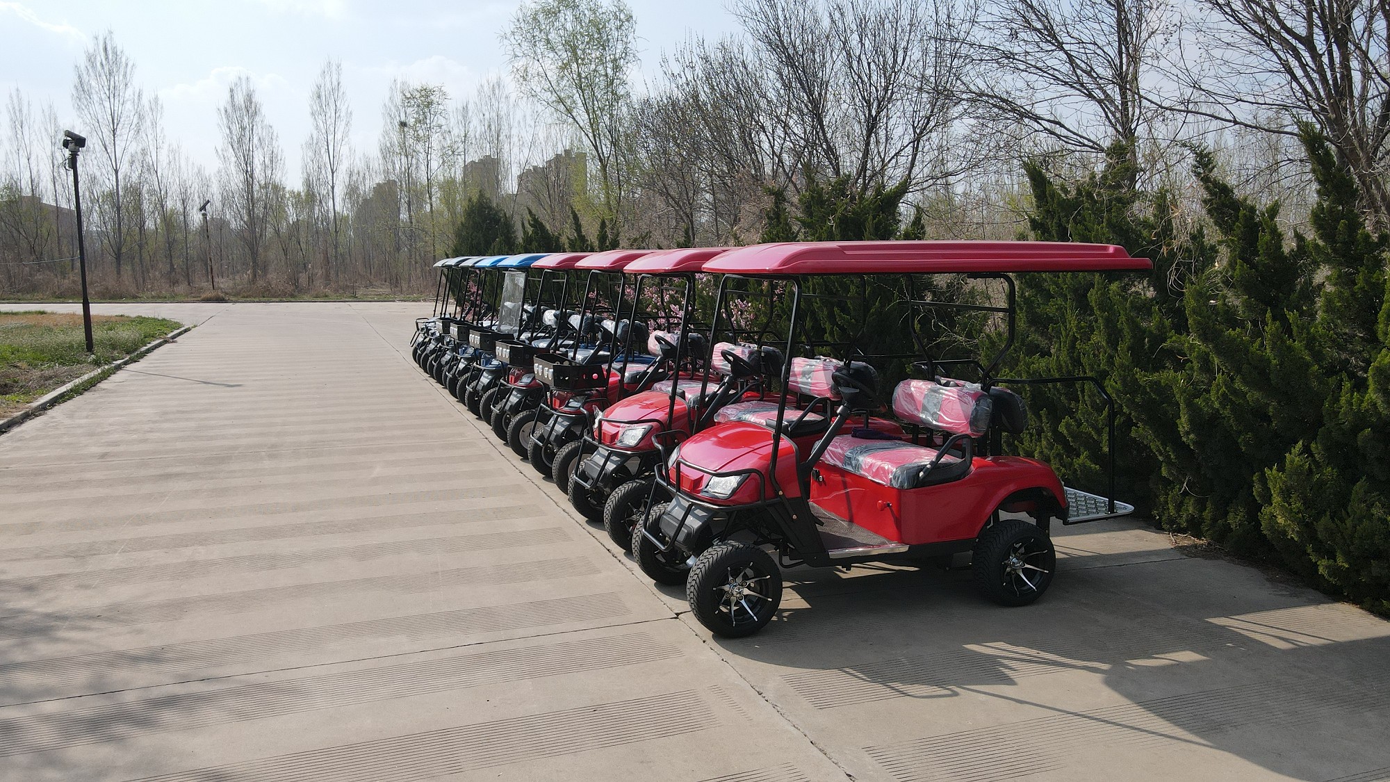 Golf Cart Details 2