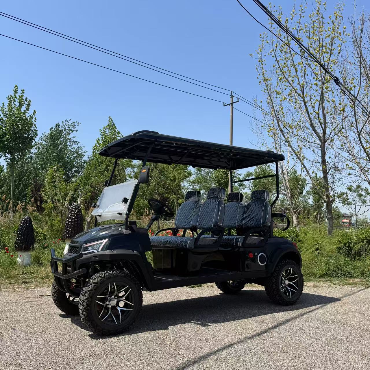 Commercial Golf Cart Fleet Vehicles Resorts Courses China Made
